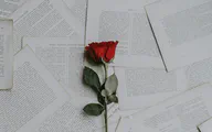 Menangkap Cinta