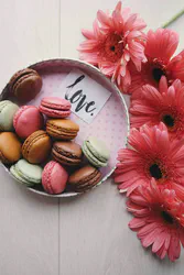 Love Dessert - Brigitte Tohm