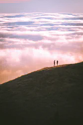 The Scale of Thing - Casey Horner